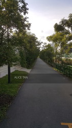 Blk 163 Jalan Teck Whye (Choa Chu Kang), HDB Executive #206209021